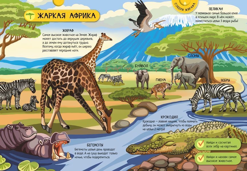 Животные мира 10785741 фото