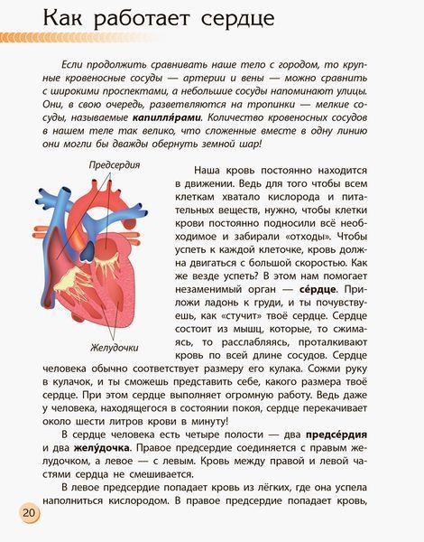 Человек и его тело 4632372 фото