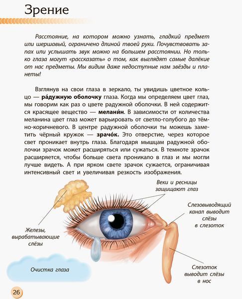 Человек и его тело 4632372 фото